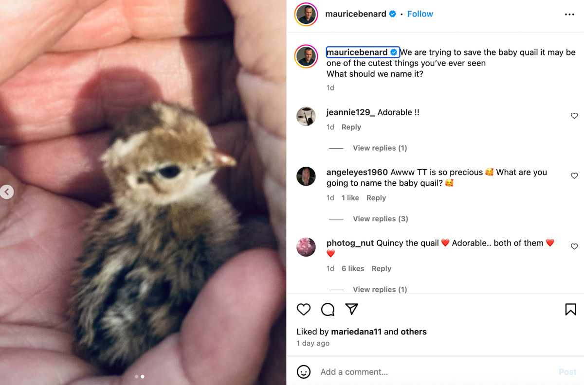 General Hospital Maurice Benard Shows Off His Softer Side by Saving a Baby Animal