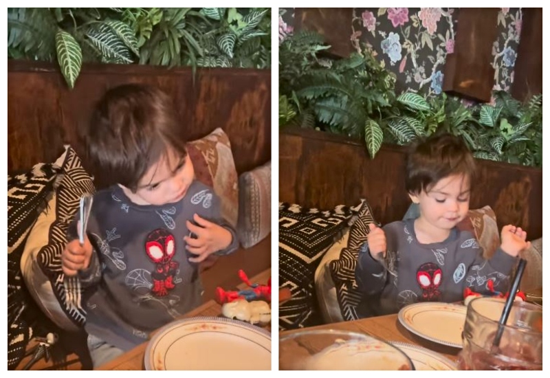 Maurice gets totally ignored by Milo - @mauricebenard - Instagram