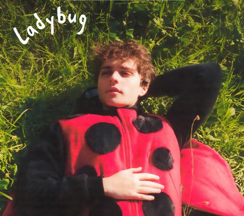 Joshua's Lady Bug - TikTok