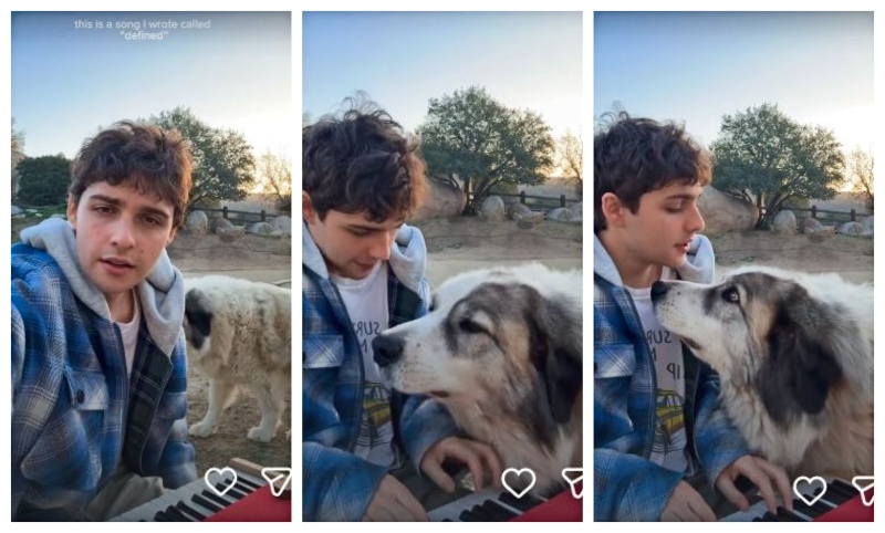 Joshua and the pup share a sweet moment - TikTok