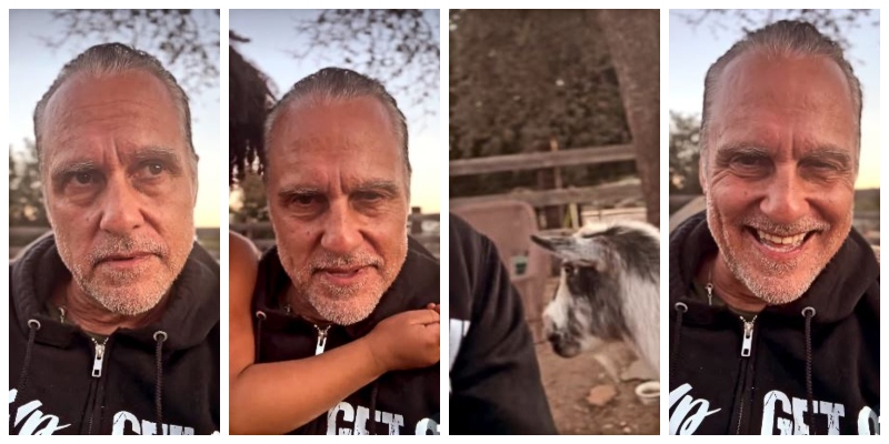 TT and Buddy chase the monster away - @mauricebenard- Instagram