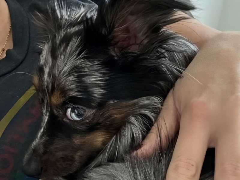 Sweet Little Wyatt looks healthy in March 2026 - @themoneymichelle - Instagram