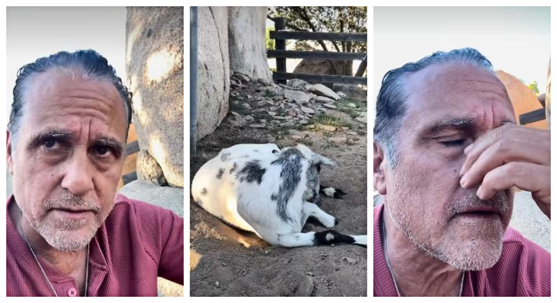 Maurice gets iced out by Buddy - @mauricebenard - Instagram