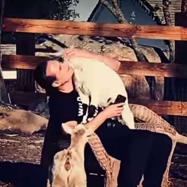 Maurice interacting with his beloved goats - @mauricebenard - Instagram
